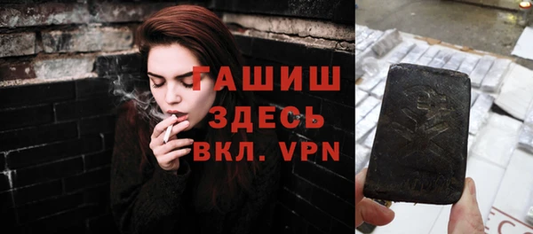 индика Медвежьегорск