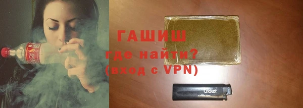 индика Медвежьегорск