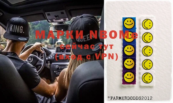 индика Медвежьегорск