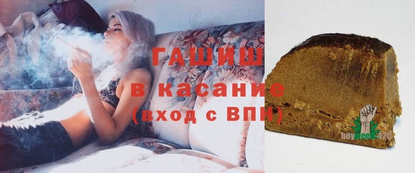 индика Медвежьегорск