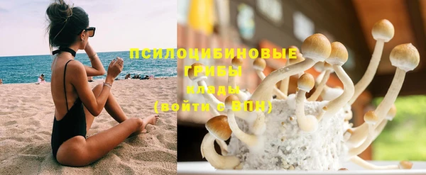 герыч Медногорск